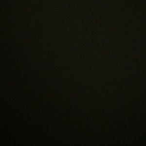 Meet your Posher, Evie